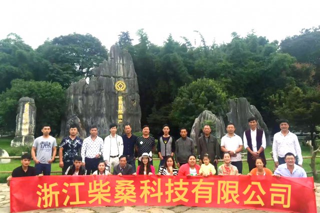 公司团建